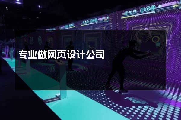 专业做网页设计公司
