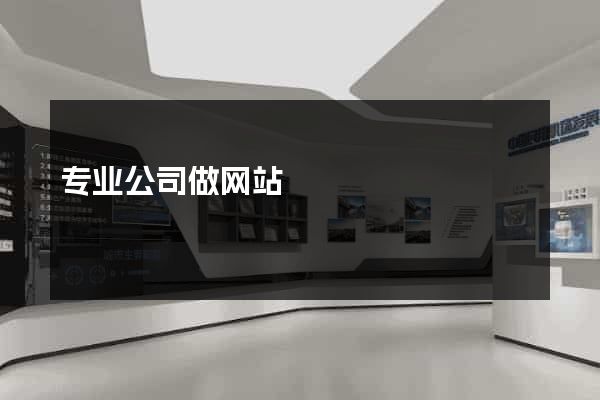 专业公司做网站