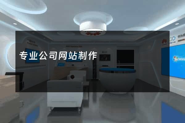 专业公司网站制作