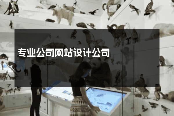 专业公司网站设计公司