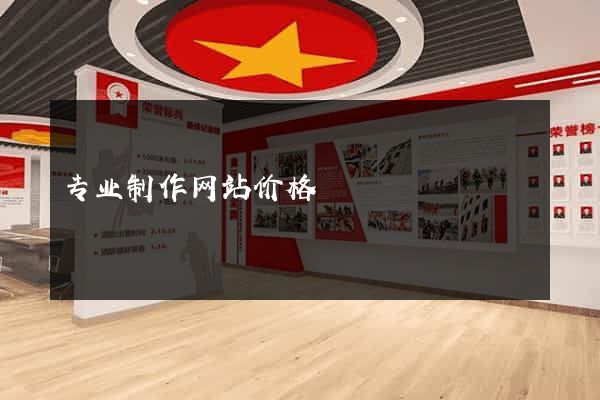 专业制作网站价格