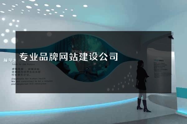 专业品牌网站建设公司