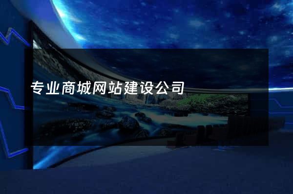专业商城网站建设公司