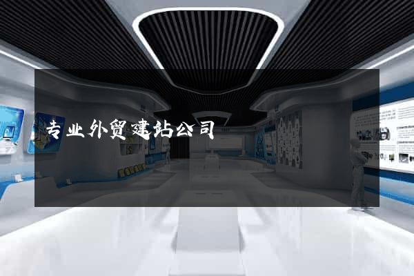 专业外贸建站公司