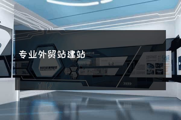 专业外贸站建站