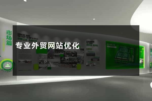 专业外贸网站优化