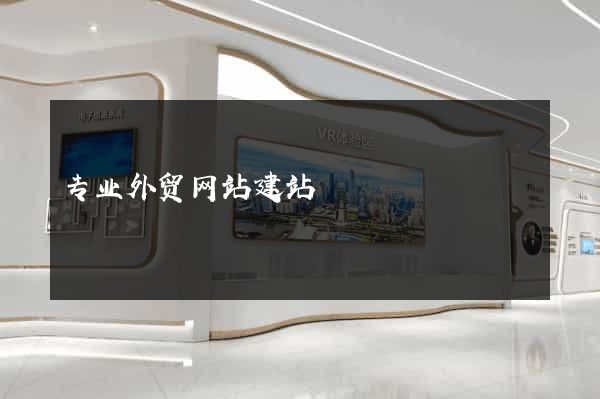 专业外贸网站建站