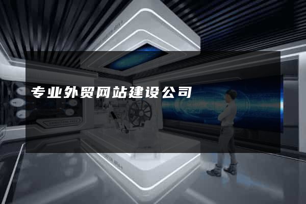 专业外贸网站建设公司