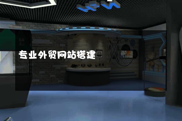 专业外贸网站搭建