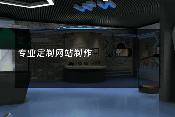 专业定制网站制作
