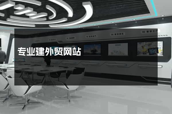 专业建外贸网站
