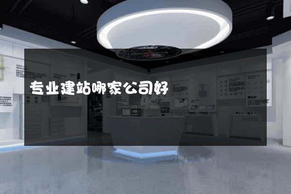 专业建站哪家公司好