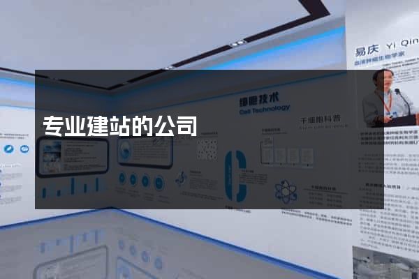 专业建站的公司
