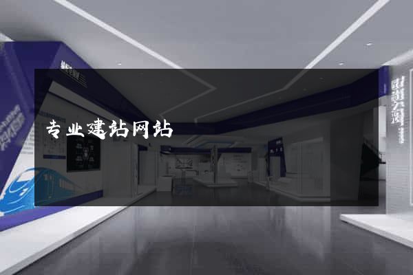 专业建站网站