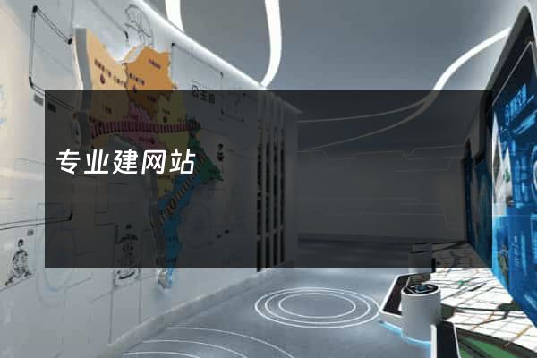 专业建网站