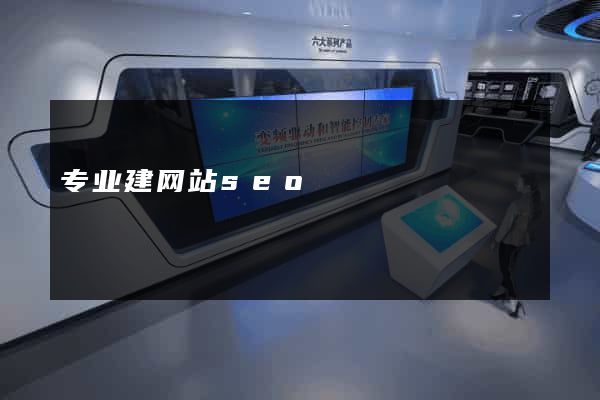 专业建网站seo