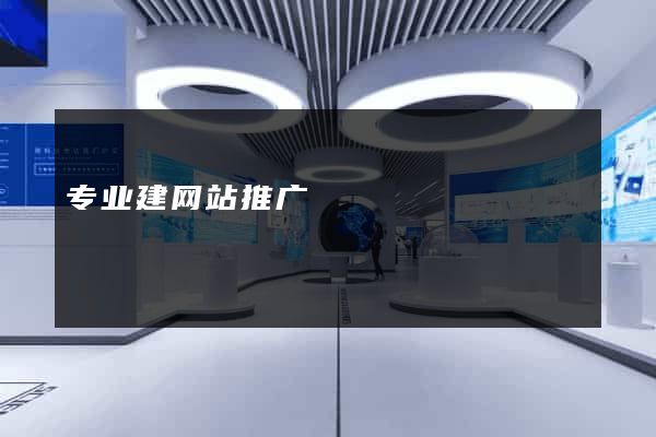专业建网站推广