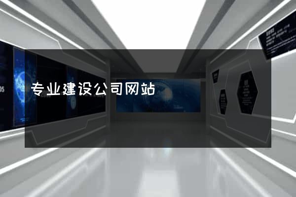 专业建设公司网站