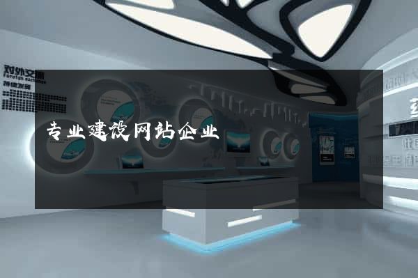 专业建设网站企业