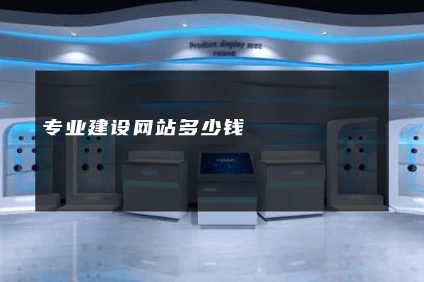 专业建设网站多少钱