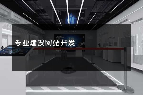 专业建设网站开发