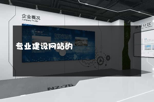专业建设网站的