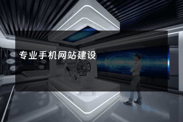 专业手机网站建设