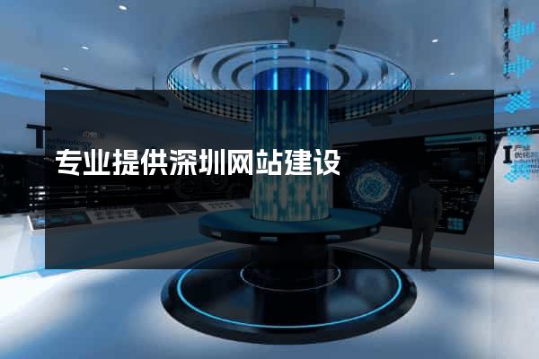 专业提供深圳网站建设