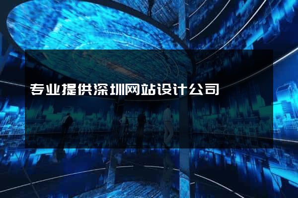 专业提供深圳网站设计公司