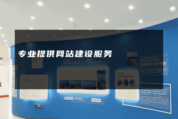 专业提供网站建设服务