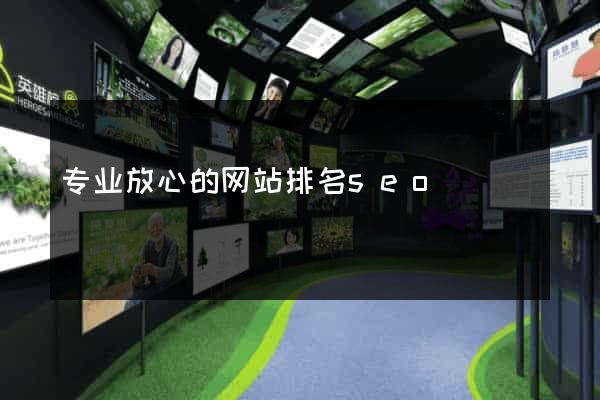 专业放心的网站排名seo
