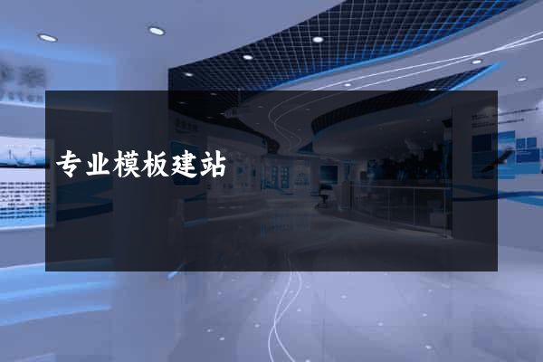 专业模板建站