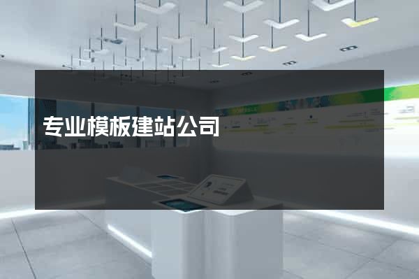 专业模板建站公司