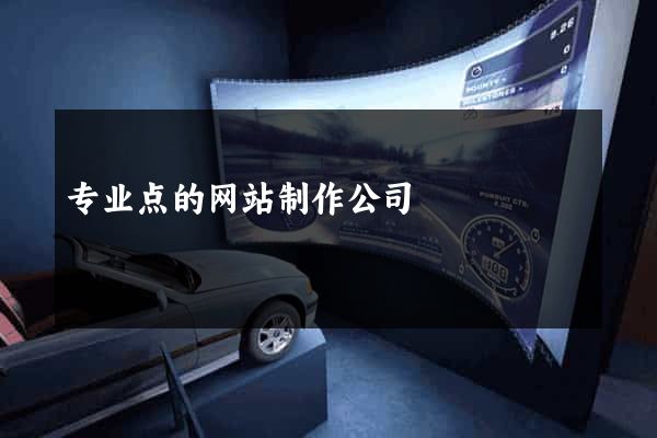 专业点的网站制作公司