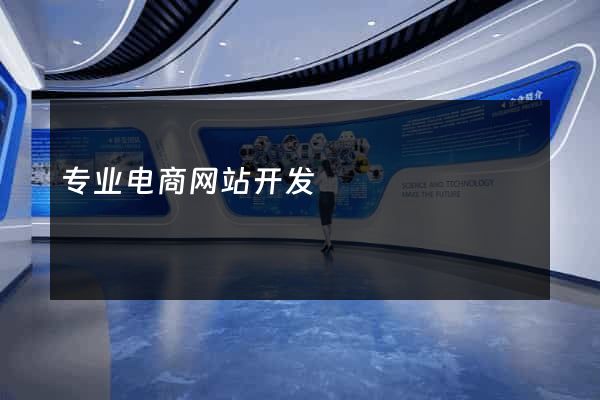 专业电商网站开发