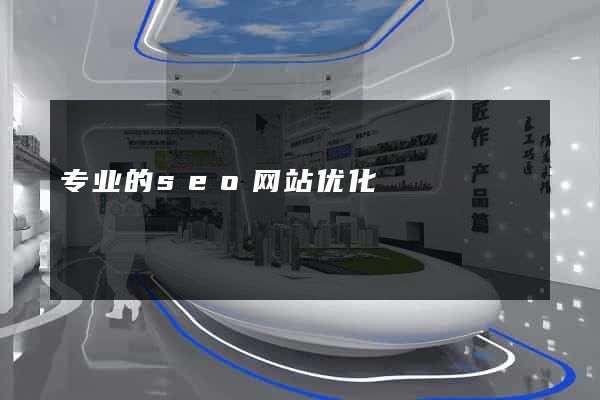 专业的seo网站优化