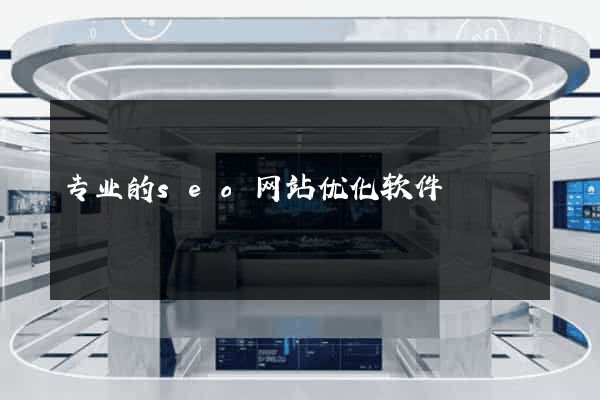 专业的seo网站优化软件