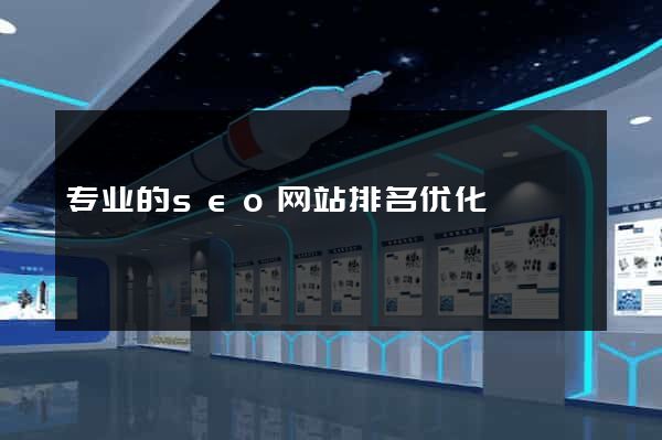 专业的seo网站排名优化