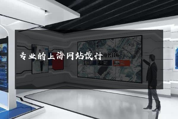 专业的上海网站设计