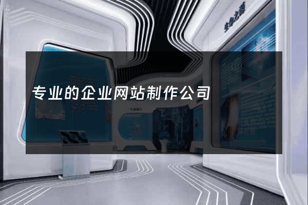 专业的企业网站制作公司