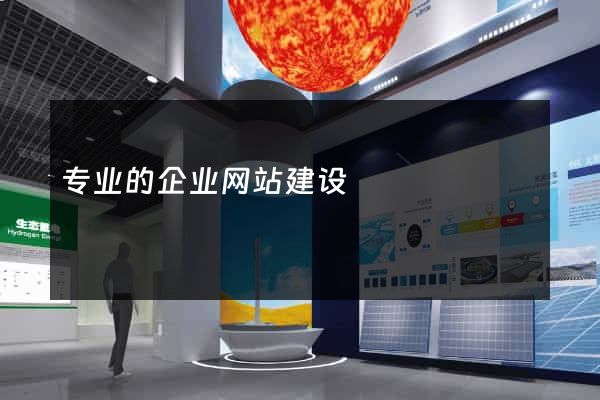 专业的企业网站建设