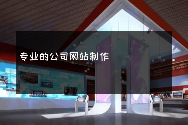 专业的公司网站制作