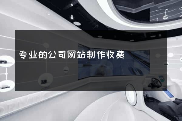 专业的公司网站制作收费