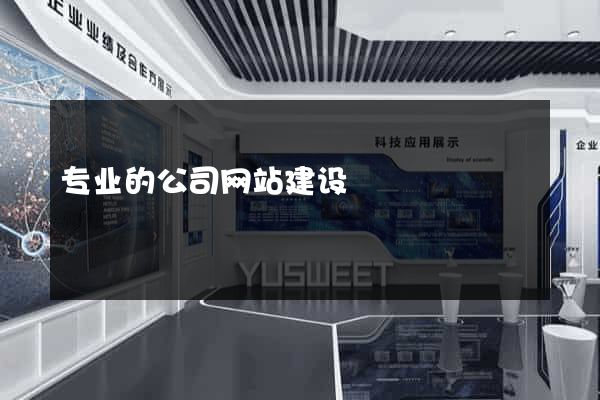 专业的公司网站建设