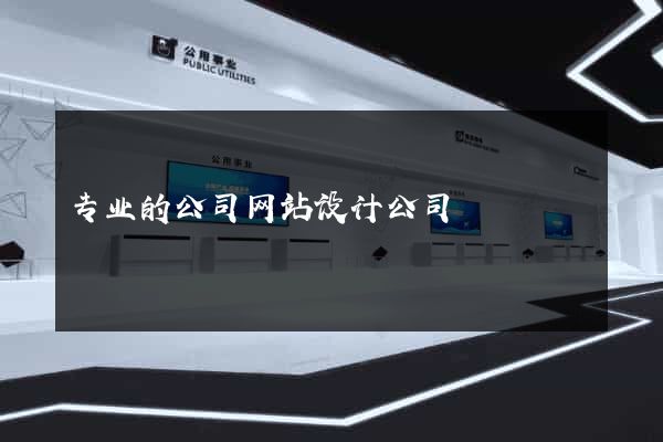 专业的公司网站设计公司