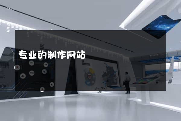 专业的制作网站