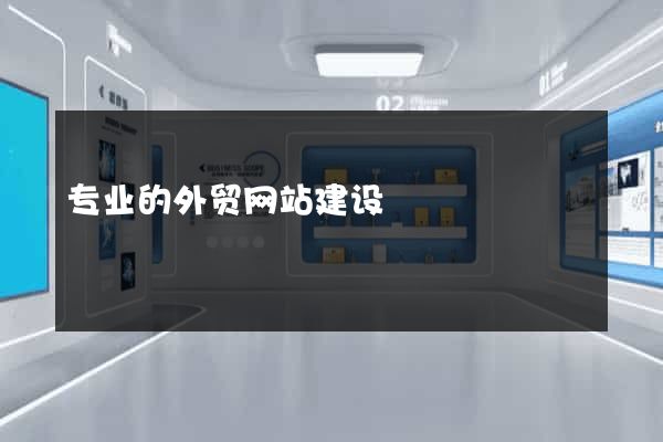 专业的外贸网站建设