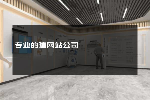 专业的建网站公司