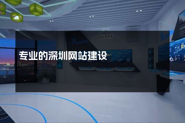 专业的深圳网站建设