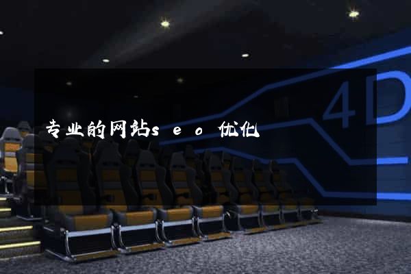 专业的网站seo优化